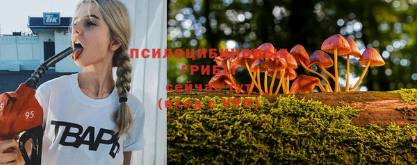 прущие грибы Балашиха