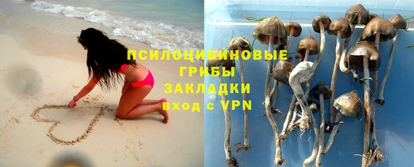 apvp Зерноград