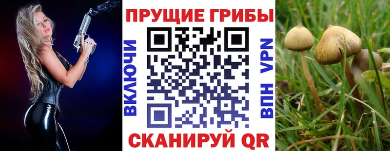 Псилоцибиновые грибы MAGIC MUSHROOMS  купить закладку  Гагарин 