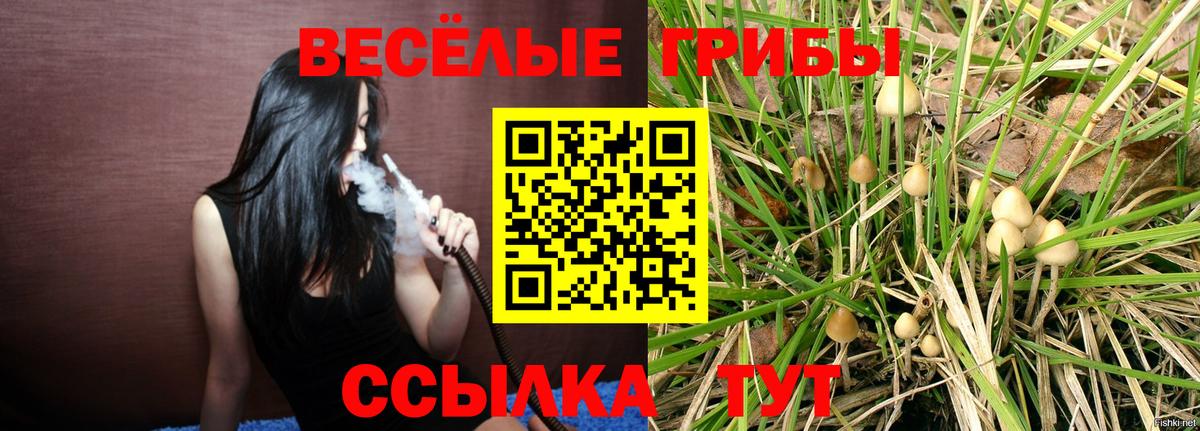 Галлюциногенные грибы прущие грибы  Галлюциногенные грибы мухоморы  Гагарин  что такое наркотик  Вход с VPN 